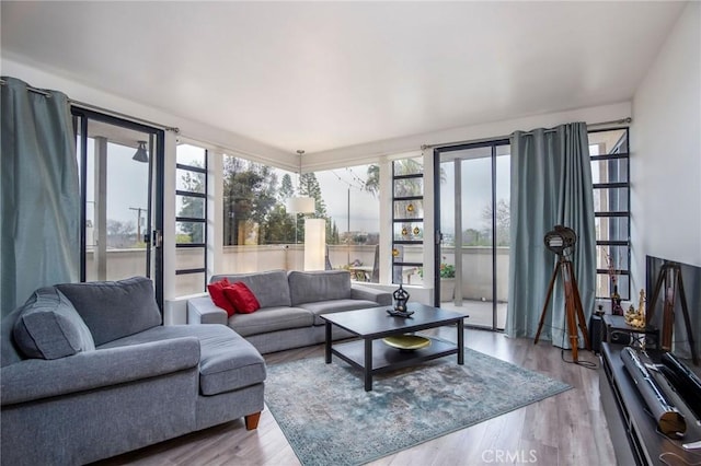 living room with light wood-type flooring