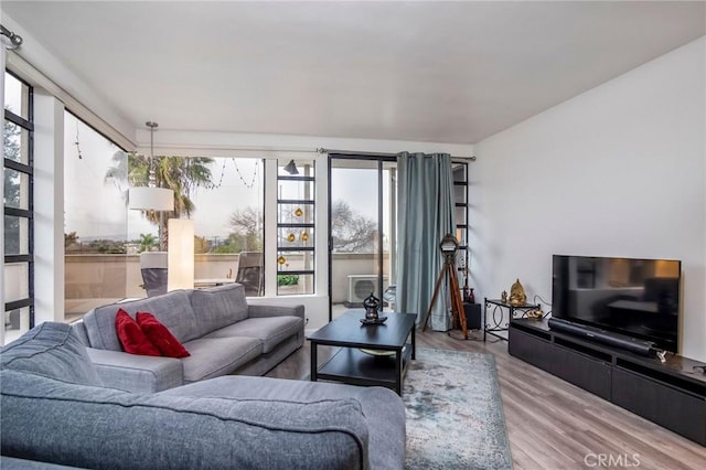 living room featuring hardwood / wood-style flooring