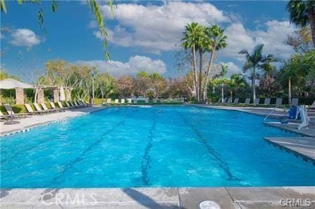 view of swimming pool