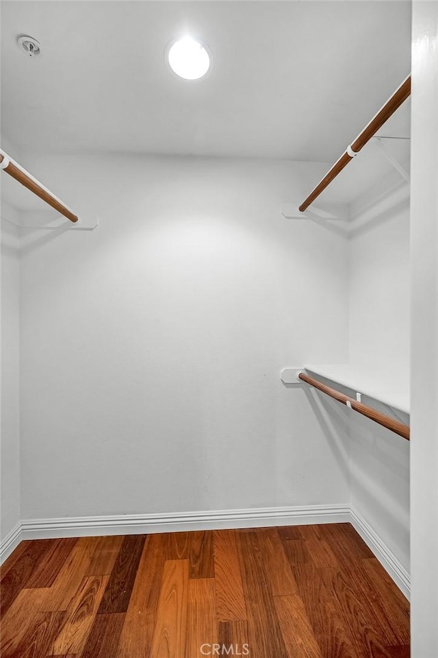 spacious closet featuring wood-type flooring