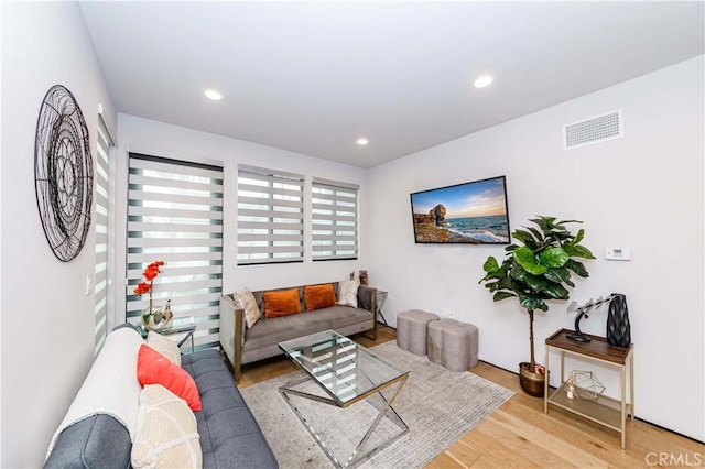 living room featuring hardwood / wood-style floors