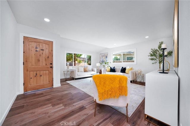 living room featuring dark wood-type flooring