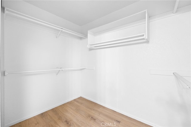 spacious closet featuring wood finished floors