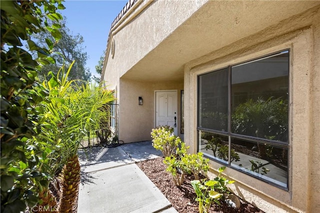 entrance to property with a patio and stucco siding