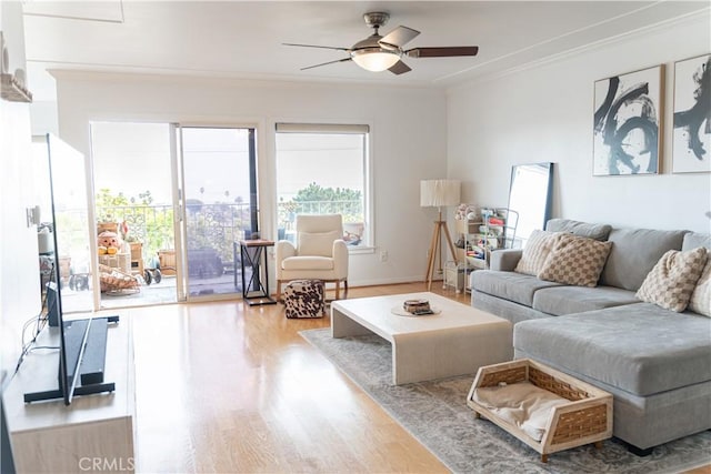 living room with hardwood / wood-style floors, ceiling fan, and ornamental molding