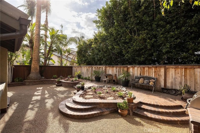 view of yard featuring a patio