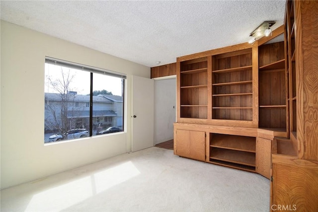 interior space featuring light colored carpet and a textured ceiling