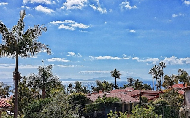 property view of water with a mountain view