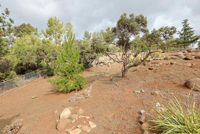 view of local wilderness