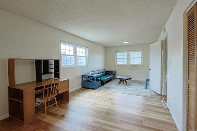 home office featuring a wealth of natural light, light hardwood / wood-style flooring, and a textured ceiling