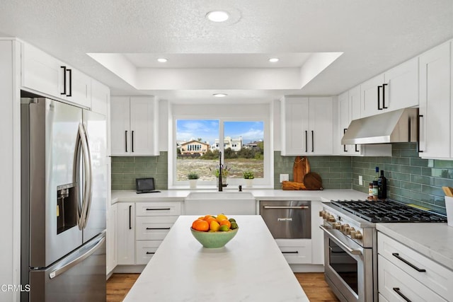 kitchen featuring stainless steel appliances, a tray ceiling, light countertops, and under cabinet range hood