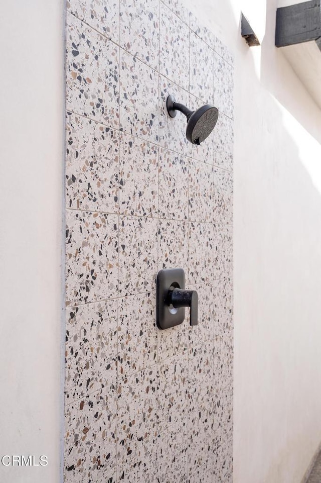 interior details featuring tiled shower