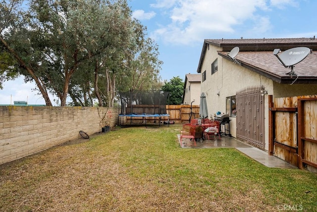 view of yard featuring a patio and a trampoline