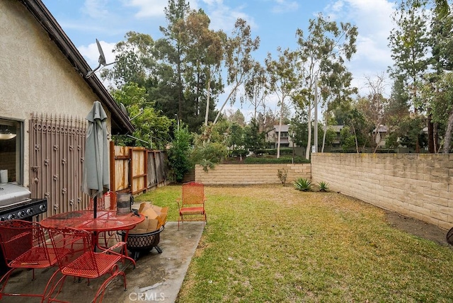 view of yard with a patio area