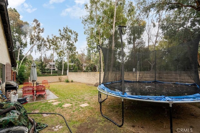 view of yard with a patio and a trampoline