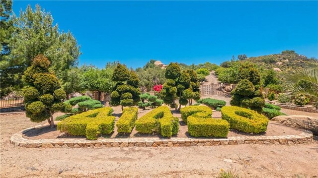 41420 Hacienda Dr, Murrieta, CA 92562 - photo 1