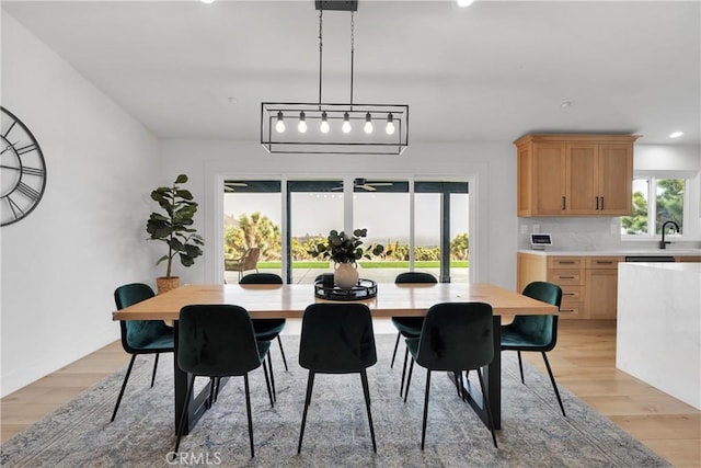 dining room with sink and light hardwood / wood-style floors