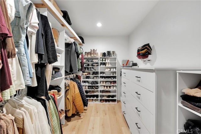 spacious closet featuring light wood-type flooring