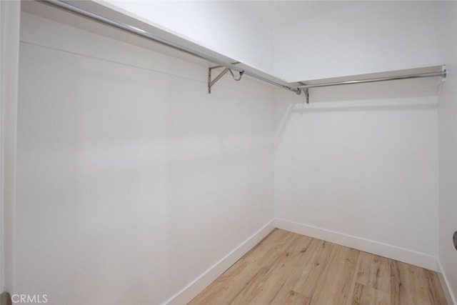 spacious closet with hardwood / wood-style flooring