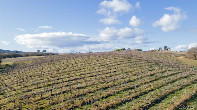 390 San Marcos Rd, Paso Robles, CA 93446 - photo 57