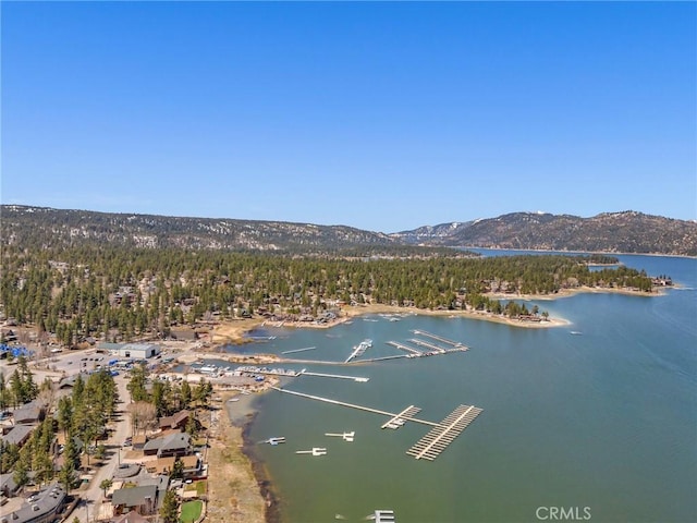 drone / aerial view with a forest view and a water and mountain view