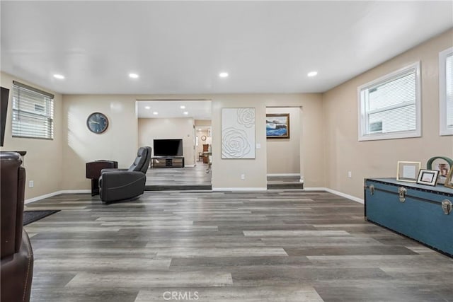 living room featuring hardwood / wood-style floors