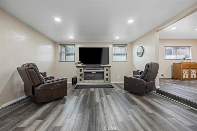 living room featuring wood-type flooring