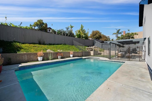 view of swimming pool featuring a patio area and a pergola