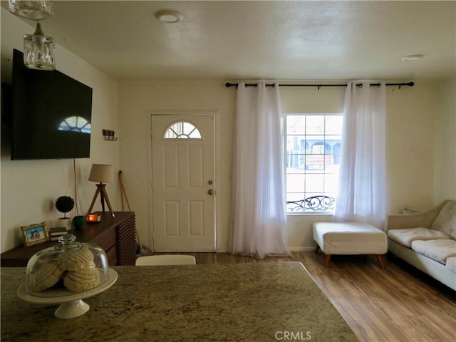 foyer with hardwood / wood-style flooring