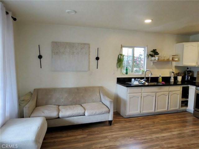 living room with wood-type flooring and sink