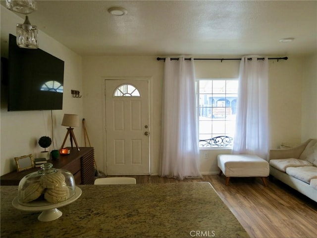 foyer entrance with hardwood / wood-style floors