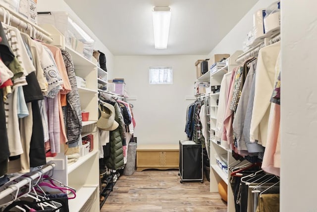 spacious closet featuring light wood-style flooring