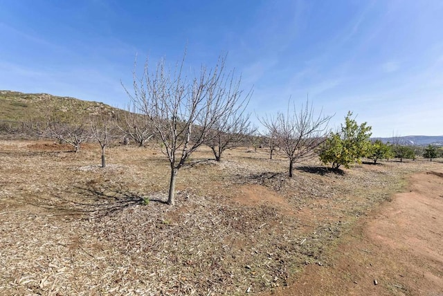 view of local wilderness featuring a rural view