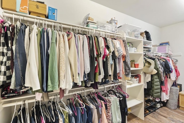 walk in closet featuring wood finished floors