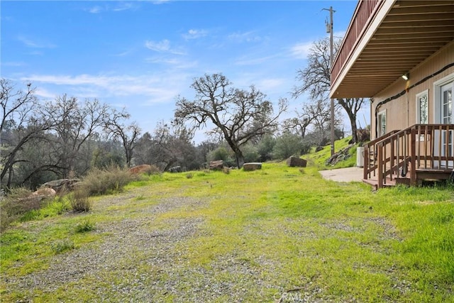 view of yard