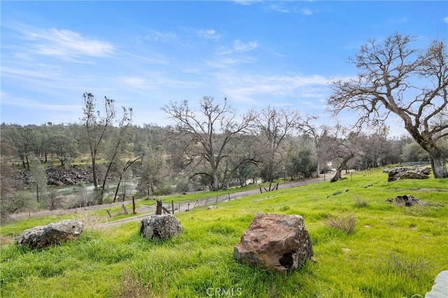 view of yard featuring a rural view