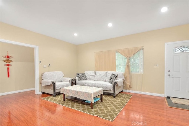 living room featuring wood-type flooring