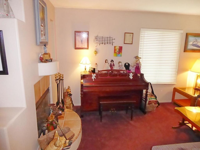 sitting room featuring carpet