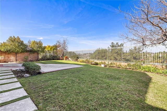 view of yard with a patio area and a fenced backyard