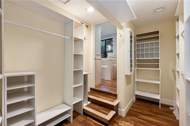 walk in closet featuring dark hardwood / wood-style floors