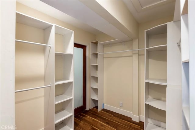 walk in closet with dark hardwood / wood-style flooring