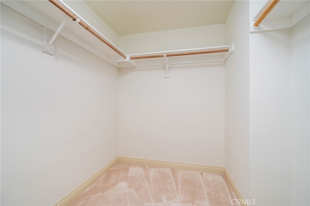 spacious closet featuring carpet floors