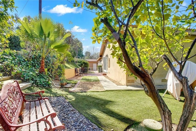 view of yard with a patio area