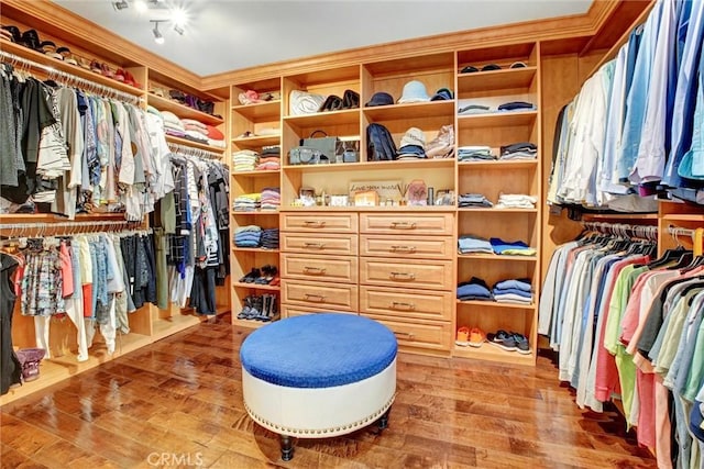 spacious closet with hardwood / wood-style flooring