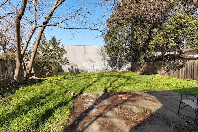 view of yard featuring a patio