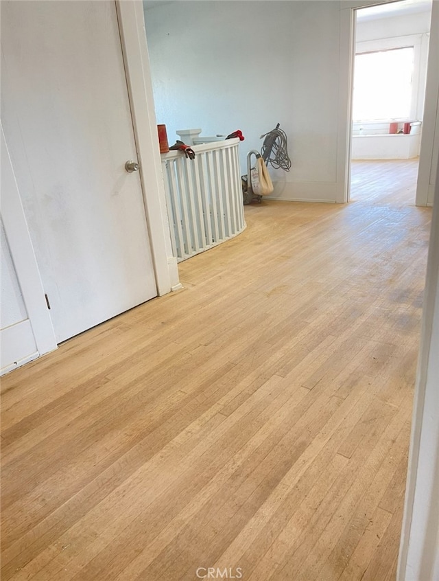 spare room with wood finished floors