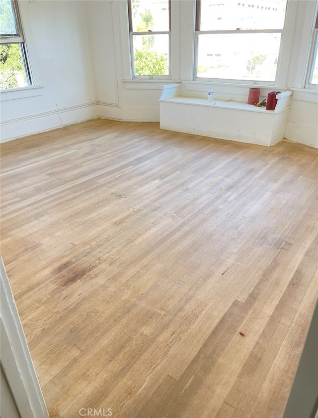 empty room with plenty of natural light and light wood-style floors