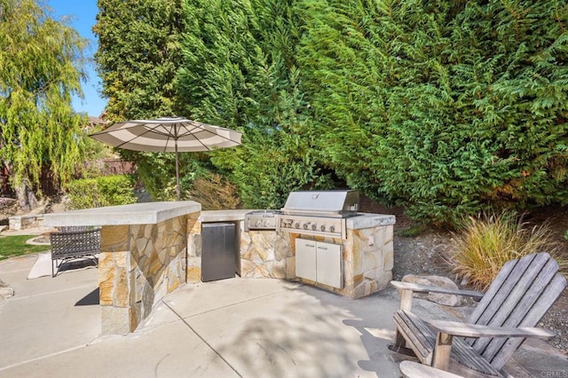 view of patio with area for grilling, exterior bar, and an outdoor kitchen