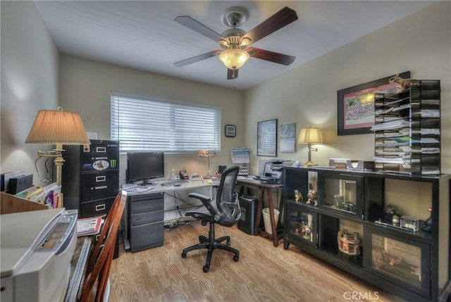 office featuring light hardwood / wood-style floors and ceiling fan