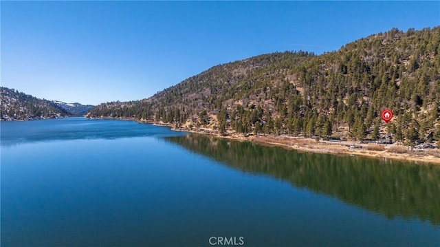 property view of water with a mountain view and a view of trees
